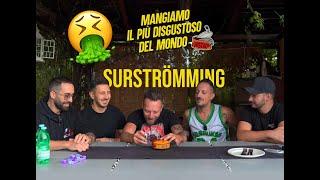 Surstromming abbiamo MANGIATO il cibo più DISGUSTOSO al mondo!