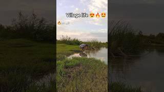 village life|abduvlog Abdullah Mini vlog #viralvideo #viral #viralshorts #gamingedits #gamersclu