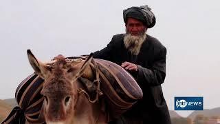 Fall colors in Balkh's Sholgara district | تصاویر خزانی ولسوالی شولگره بلخ