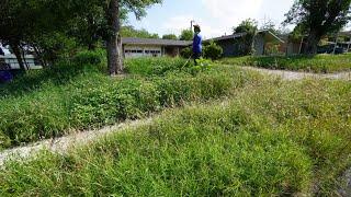 Not ONE PERSON cared for this yard for 15 YEARS until I gave it a makeover for FREE