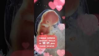 #беременность #роды #гинеколог #дети #эмбрион #аборт