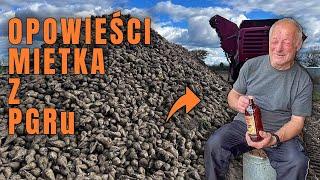 #VLOG Dosiewanie pszenicy po pryzmach buraków i historia z PGR-u według Mieczysława/