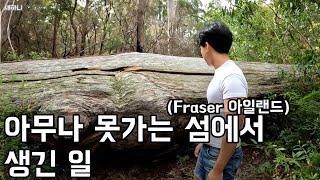 함부로 섬에 들어가면 큰일납니다(프레이저아일랜드)fraser Island(호주11)