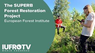 The SUPERB Forest Restoration Project - European Forest Institute