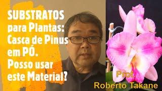 SUBSTRATOS para Plantas:Casca de Pinus em PÓ. Posso usar este Material? Prof.Roberto Takane