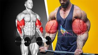 5 Best Exercises to Get Huge Biceps Fast