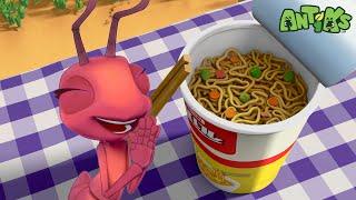 Cup Noodle | Full Episodes | Antiks | Cartoons for Kids