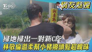 《觀察中》掃地掃出一對新CP? 林敬倫溫柔幫小豬撥頭髮超曖昧｜TVBS新聞｜網友熱搜