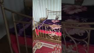 Hotel in Nathia Gali | hotel on main bazar | good hotel in Nathia gali | reasonable hotel in Galiyat