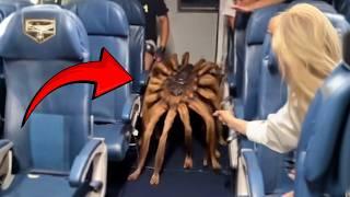 15 Close Calls With Creatures No One Was Supposed To See!