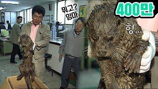 부산 아저씨들한테 잡힌 수달에게 생긴 일ㅋㅋ Cute Otter