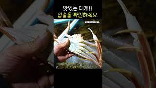 맛있는 대게 고르는 법!! 대게 입술을 보면 됩니다. #shorts