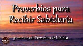 Proverbios para recibir sabiduría de parte de Dios | Biblia hablada | Bible audio