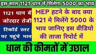 1121 धान में भारी उछाल  भाव जाएगा 5000 के पार । आज धान का ताजा भावधान के ताजा मंडी भाव ।