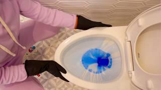 The Essential Guide to Cleaning a Toilet | Step-by-Step Tutorial  