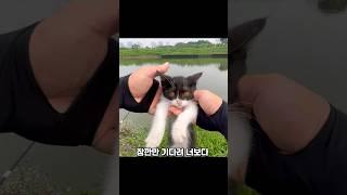 낚시하는 남성에게 물고기 달라고 보채는 냥냥이