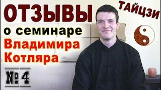 Тайцзи Ветер-Гром. Отзыв о семинаре Владимира Котляра. Никита Кучер