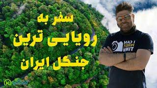 Alimestan Forest of Iran | سفر ماجراجویانه من به جنگل الیمستان رویایی ترین جنگل ایران