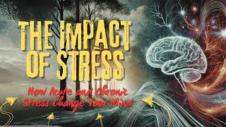 The Impact of Stress - How Acute and Chronic Stress Change Your Mind