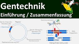 Gentechnik - [Einführung + Zusammenfassung] - Abitur [Biologie, Genetik, Oberstufe] - [1/7]