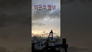 #아징 #짬낚전갱이TV