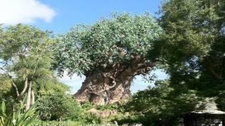 Disney World's Animal Kingdom