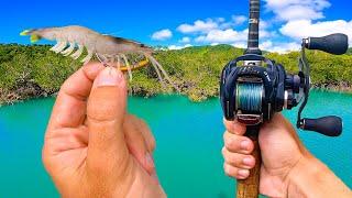 This Technique Catches Fish Too Easily!