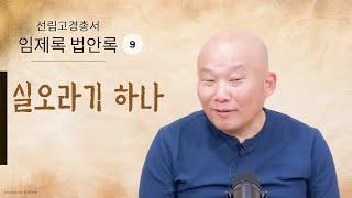 2025년 6월 23일 10년 결사 저녁공부 : 법안록-9