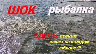 Бросили всё... и уехали жить в палатке! ЖОР ЖЕРЕХА!!! Классная рыбалка осенью!