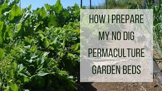 How I Prep My No Dig Permaculture Veggie Beds #permaculture #permaculturegarden #nodig #nodiggarden