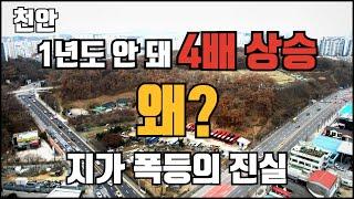 천안 토지 | 1년도 안 돼 4배 상승? 땅값 폭등의 진실! | 콕봐유