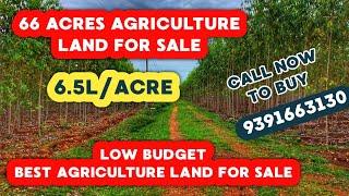 66 ACRES AGRICULTURE LAND FOR SALE  | COST PER ACRE  ₹ 6,50,000 /-  LAKHS | LOW COST LAND