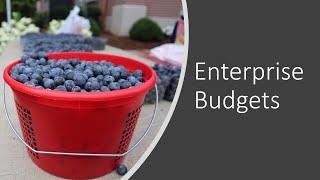 Enterprise Budgets and Operating Expenses