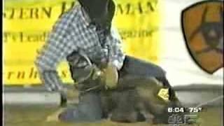 Rodeo Animal Abuse Exposed by Chicago TV News