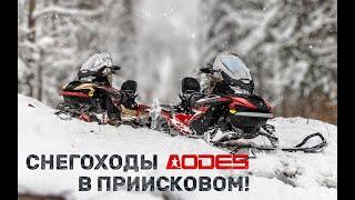 Снегоходы AODES в Приисковом! Полный обзор Snowcross 1000 WT и SWT.