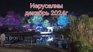 Иерусалим декабрь 2024г. Ботанический сад.