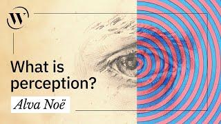 Perception, explained in 3 minutes  | Alva Noë