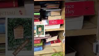  Community Building through Mini Libraries! #booktube #expatlife #minilibrary #bookclub