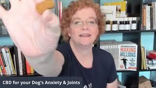 CBD for your Dog's Anxiety & Joints