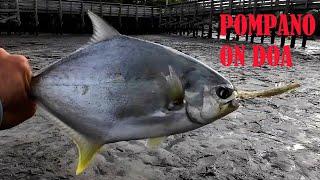 Fishing the Power PLANT In A Cold day!! (Surprise Catch)