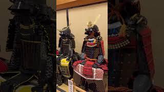 篠山城　castelo de Sasayama #侍 #サムライ #samurai #castelo #篠山城#japan #shortsfeed #shortsvideo #shortsviral