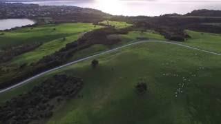 Drone-ando 11, New Zealand