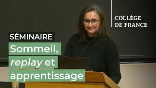 Sommeil, replay et apprentissage (3) - Stanislas Dehaene (2024-2025)