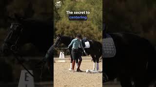 Afraid to Canter Your Horse?