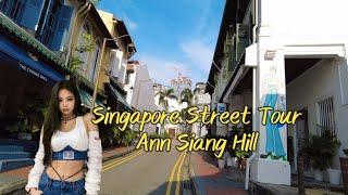 Ann Siang Hill. Walking tour in [4K]. - Singapore Street Tour.