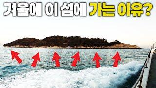 겨울엔 꼭 한번은 낚시하러(밥먹으러)가는 섬