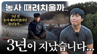 귀농 6년차, 방울토마토 농사 수익공개