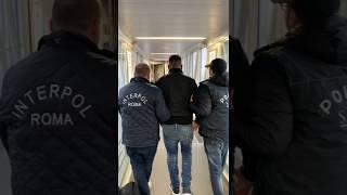 Operazione Pollino: oggi l’estradizione verso l’Italia di Domenico Strangio, arrestato in Belgio