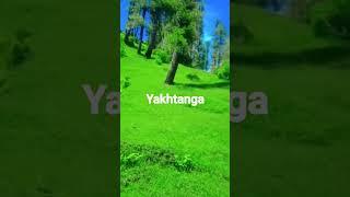 beautiful place of shangla (yakhtanga)  #shorts#youtubeshorts#beautiful place