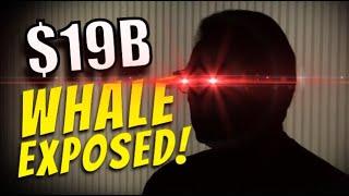 19 Billion Dollar Whale Wallet Is Preparing for a CRASH!! Wallet Exposed! (Actually Urgent)